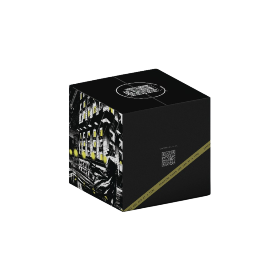 LOST IN TOWN MYSTERY BOX